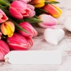 wood-tiulpany-romantic-tulips-buket-spring-tsvety-love-heart.jpg