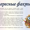 интересные факты о Маркове.jpg