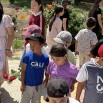 IMG_4917.jpeg