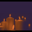 IMG_6081.png