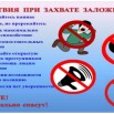 IMG_3466.jpeg