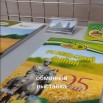 обменная.jpg
