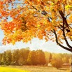 wallpapers-autumn-14.jpg