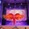 IMG_2469.JPG
