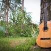 depositphotos_116105800-stock-photo-guitar-near-a-tree-in.jpg