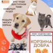 iBwf3WSNrRcv51MyFXOYYFpo2DJHXbEyyCkMFlriE1KdZOWHnby27qUYs_QP40tDQ59Uyk5y8yeTQxrnt4z-6iY9.jpg