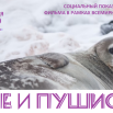 Безымянный.png