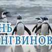 вапы.jpg