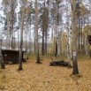 ртртрт.jpg