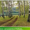 с чего.jpg