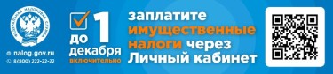 IMG_2424.jpeg