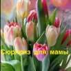 2021-03-05_12-33-53.png