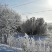 2020-12-07_14-08-29.png