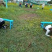 прохоровка7.jpg