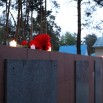IMG_2792.JPG