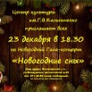 2019.12.23 Новогодний концерт.jpg