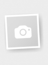 image 229.png