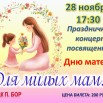 28.11.2025 СДК Бор.jpeg