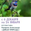 ЗВУКИ ПРИРОДЫ ВК.jpg