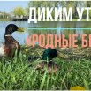 50Q6UAXVo_kvddAf4c4-4HlWCWAQE2ksbrt0Z40mDxPYzhU3hvT5Tpwe7KhEZqH2LtXqlrGwsoxlSC2gmUlkOFHo.jpg