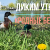 2026-05-08_10-53-55.png