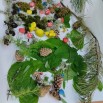 п. Тея школа 16.06 (5)_result.jpg