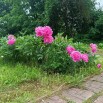 yBvn20BCorfUnyd7xzHhrdBLO2810LSFAhPF5klUV0DX_AW_vIRilEPl8fX7rGCBHeTx9Q5fM369Q96eP-P9zPgy.jpg
