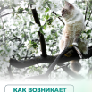 Слайд1 (18).PNG