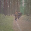 Шли на битву партизаны.jpg