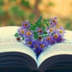 книги1.jpg