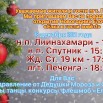 Открытие ёлок.jpg