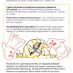 Изображение WhatsApp 2025-10-09 в 12.27.37_b29eac3e.jpg