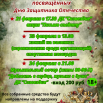 24 февраля в 21.00.png