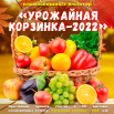 Урожайная корзинка 2022.png