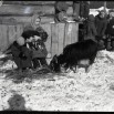 ПЕРВОУРАЛЬСК В ГОДЫ ВОВ 05.jpg