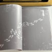 КОЛЕСНИКОВА ИРИНА АФИША КНИГИ (ОСТАНЕТСЯ) 04.jpg