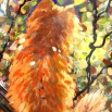 ВЫСТВКА ДЕВЯТОГО ФЕСТИВАЛЯ (Ек родники) 06.jpg