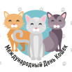 кошки.png