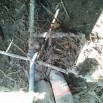 WP_20180514_021.jpg