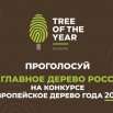 tree-of-year-russian.jpg