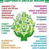 7 правил ЗОЖ.jpeg