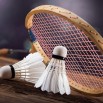 Badminton-HD-Background.jpg