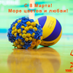 8_march_Volley-v9nk5uv0wigx3rzz04lnotidj53r28ftg4tqa1re.png