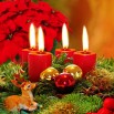 candles_christmas_new_year_needles_threa3d_christmas_decorations_reindeer_poinsettia.jpg