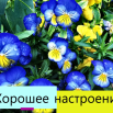 хорошее настроение.png