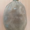 UkWQComVPMgCd8Hu35rXvJqNZk6dGuCQFM8mEUJutz5vddDF_kh0P3nodnLE18icssPMAk8nImxfU_igNJpl0GLs.jpg
