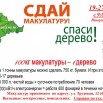 макулатура.jpg