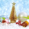 branch-snow-winter-frost-holiday-christmas-1361584-pxhere.com.jpg