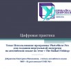 Цифровая практика Использование программы PhotoShow Pro Добрынина Е.Н._Page1.jpg