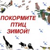 img0.jpg